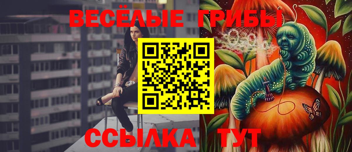 Минусинск  Галлюциногенные грибы Magic Shrooms  Вход с VPN  Галлюциногенные грибы Psilocybe 