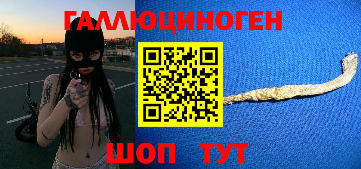 Галлюциногенные грибы Cubensis Минусинск